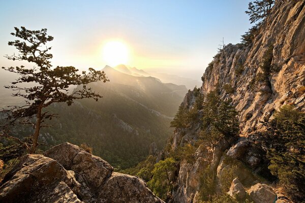 Il sole tramonta dietro le montagne e illumina gli alberi