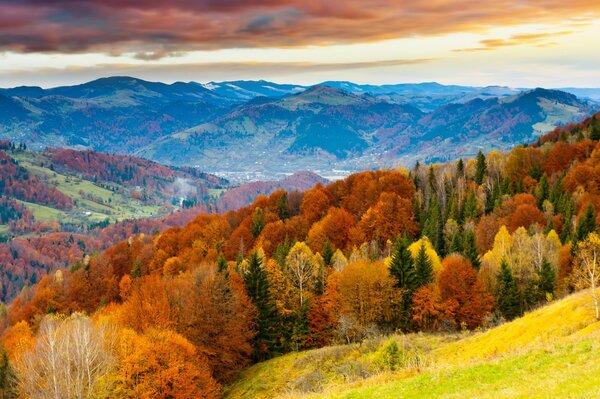 Herbstlandschaft mit gelben Bäumen und Bergen