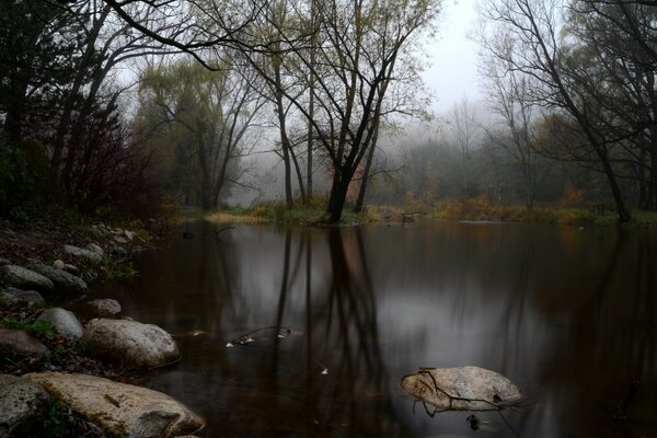 Cloudy lake in a foggy forest