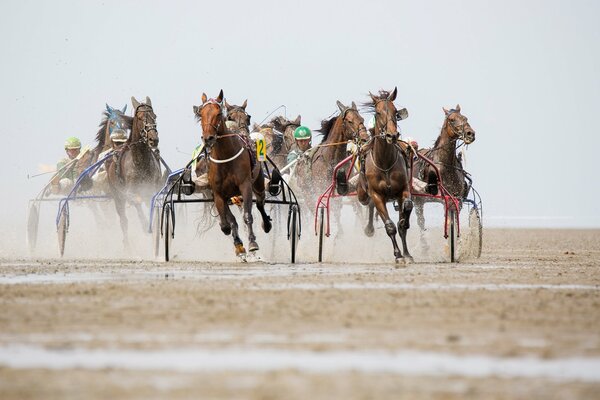 Bright sports horse racing, dust is a pillar