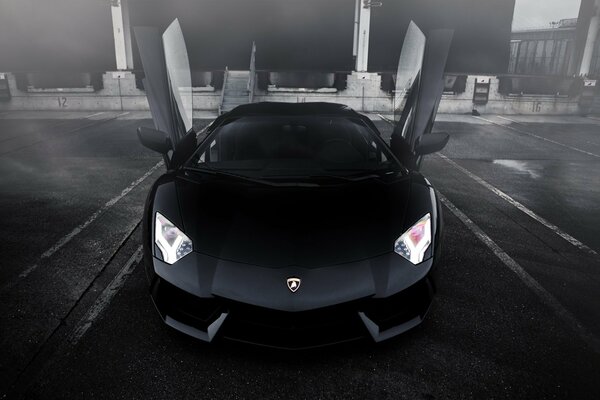 Black Lamborghini with open doors in fog