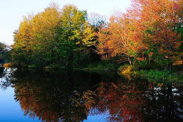 Herbstbäume, die sich im See schön widerspiegeln