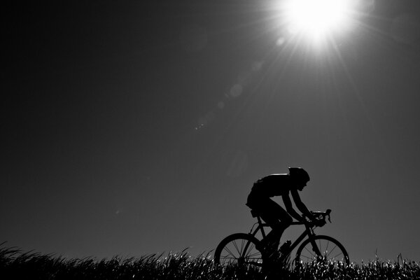 A cyclist under the bright evening sun. Black and white photo of a cyclist