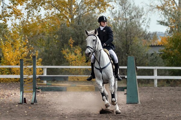 Sports jump on a white horse