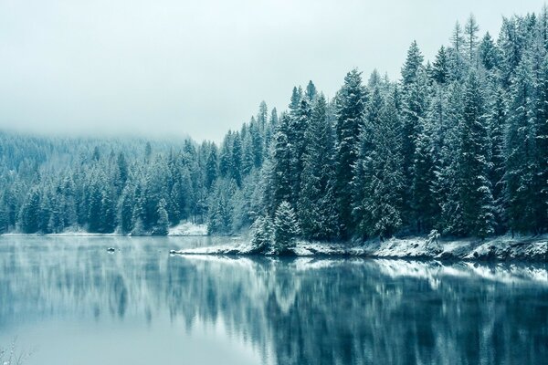 Kalter Wald. Frostwetter