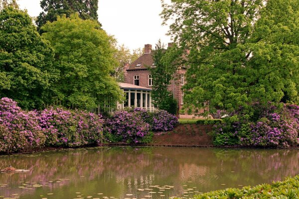 House in the park , by the pond 