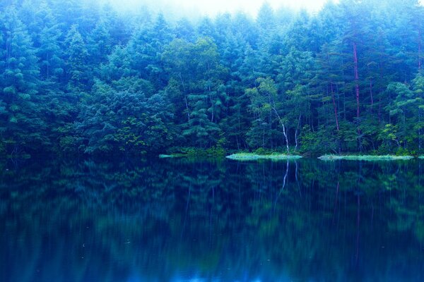 Lago con bosque en el fondo en tonos azules