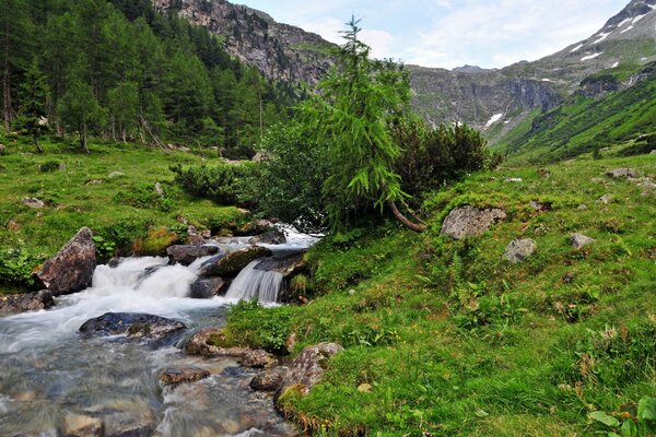 Die Landschaft eines Wasserfalls inmitten der Berge Australiens