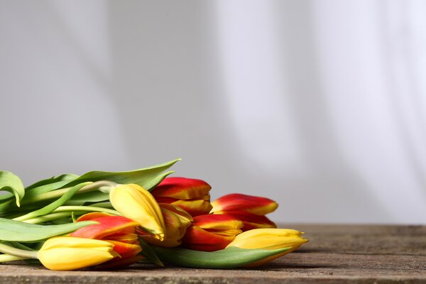 Bouquet of colorful tulips on a wooden table