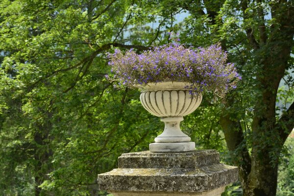 Grande vaso nel parco accanto all albero