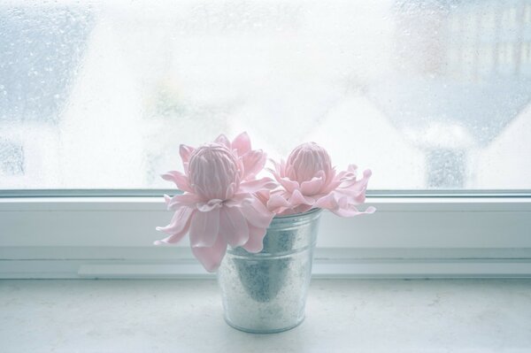 Soft pink flowers in a jar by the window