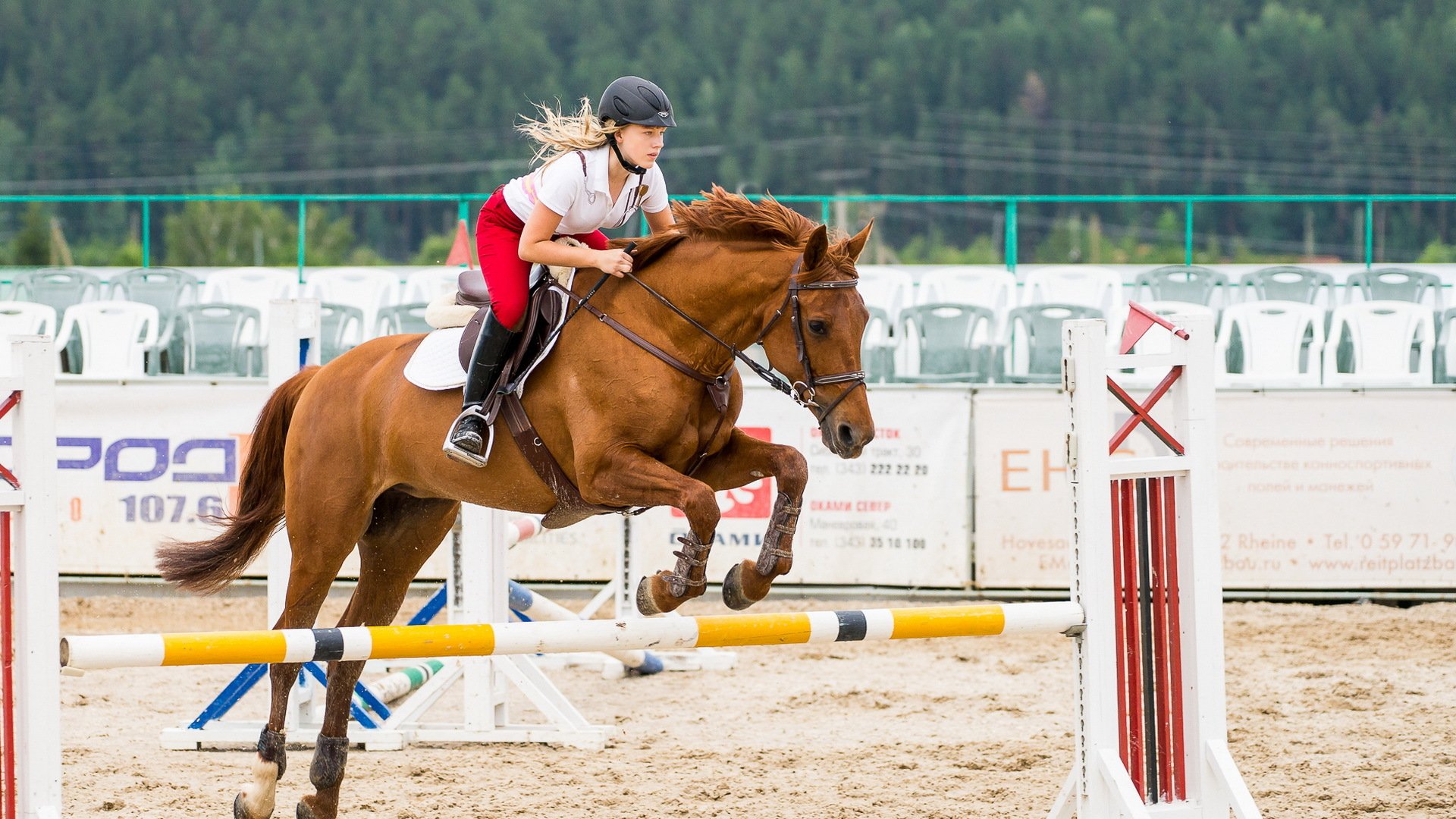 dziewczyna koń sport