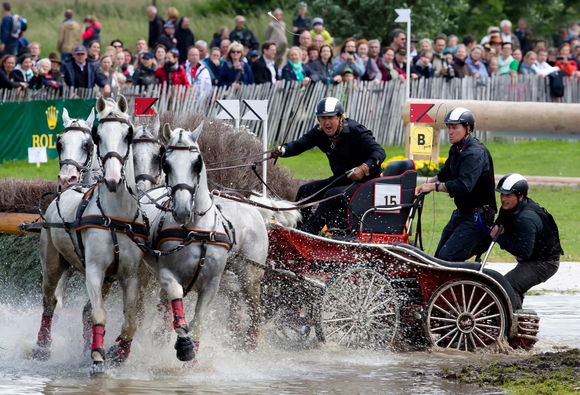 conduite concours de traîneau à cheval transport de conduite sports équestres quad