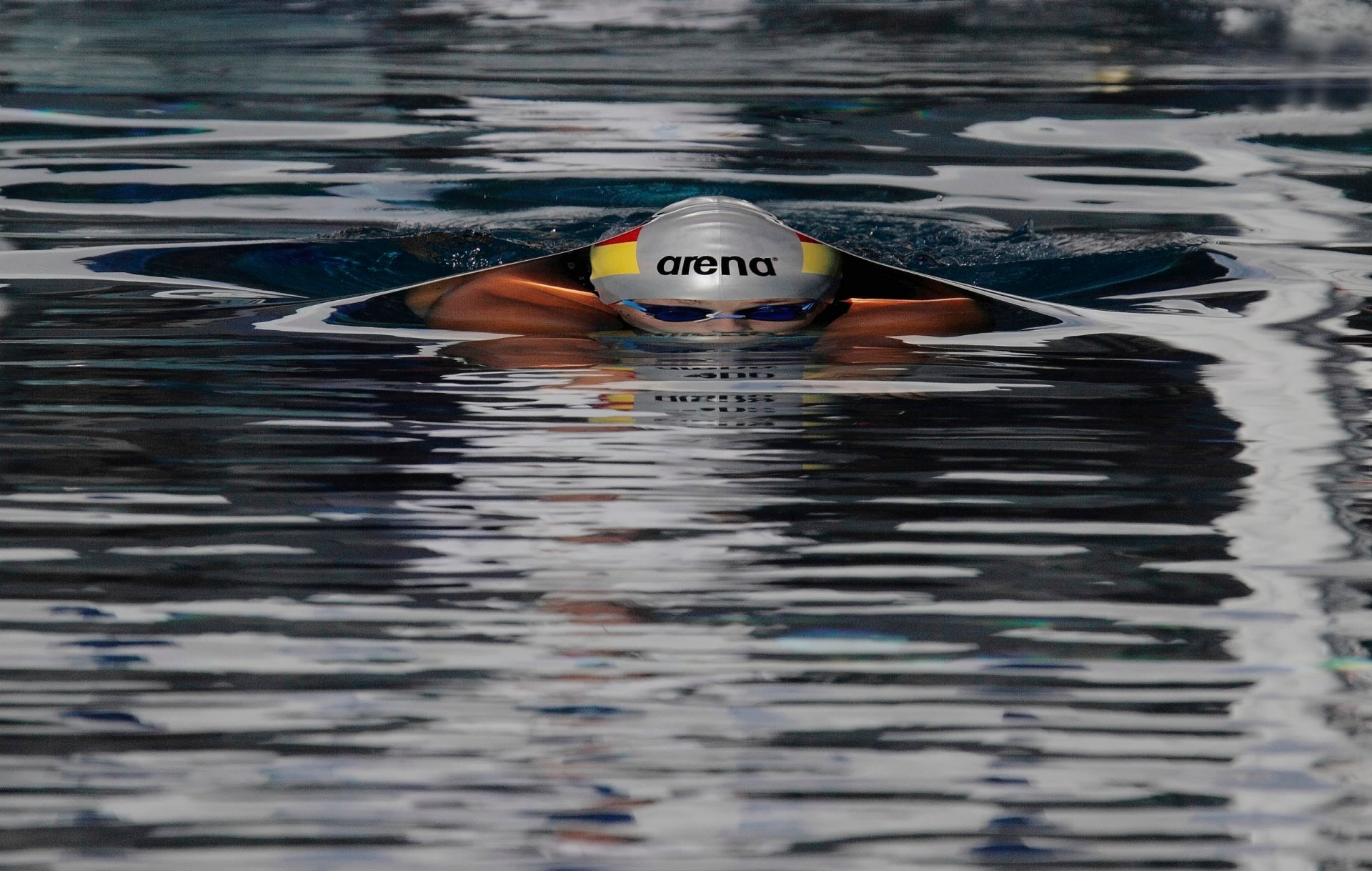 nuoto nuotatore piscina arena