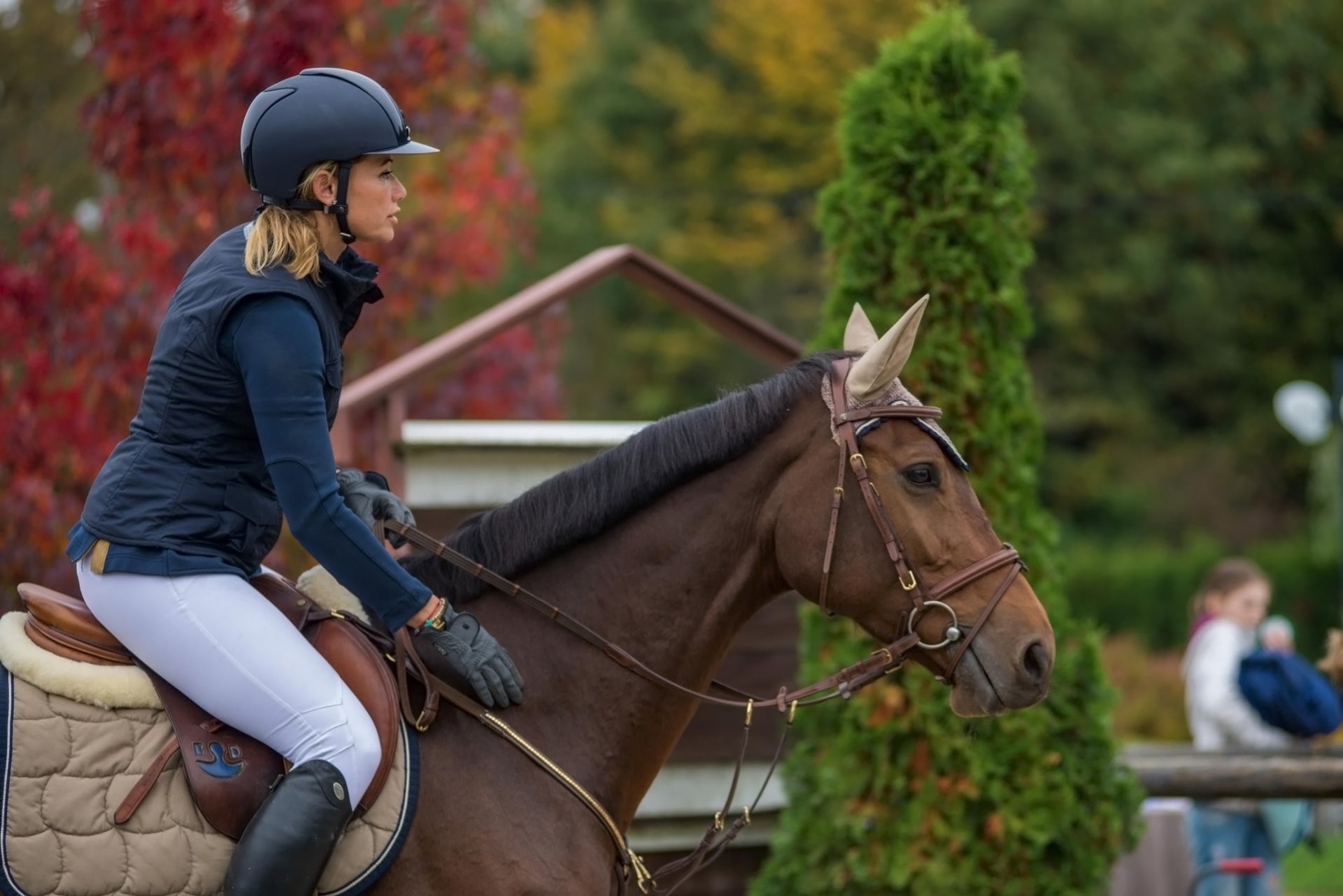 croatia horserace rider horse