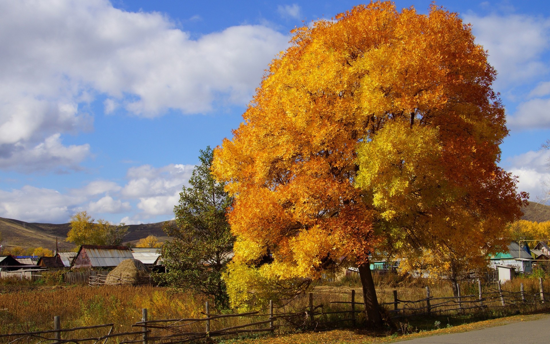 automne village peintures nature bois