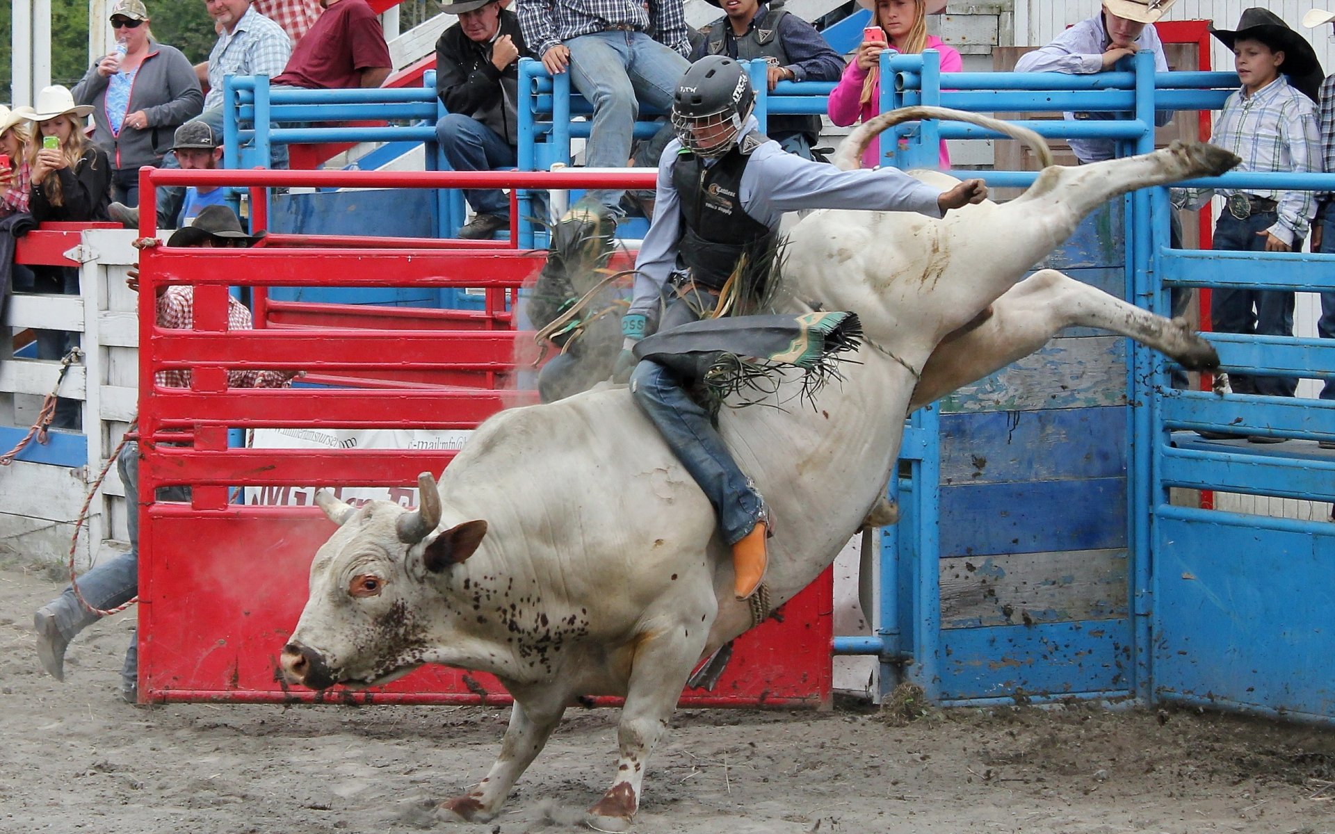 pequeño rodeo ciudad deporte toro