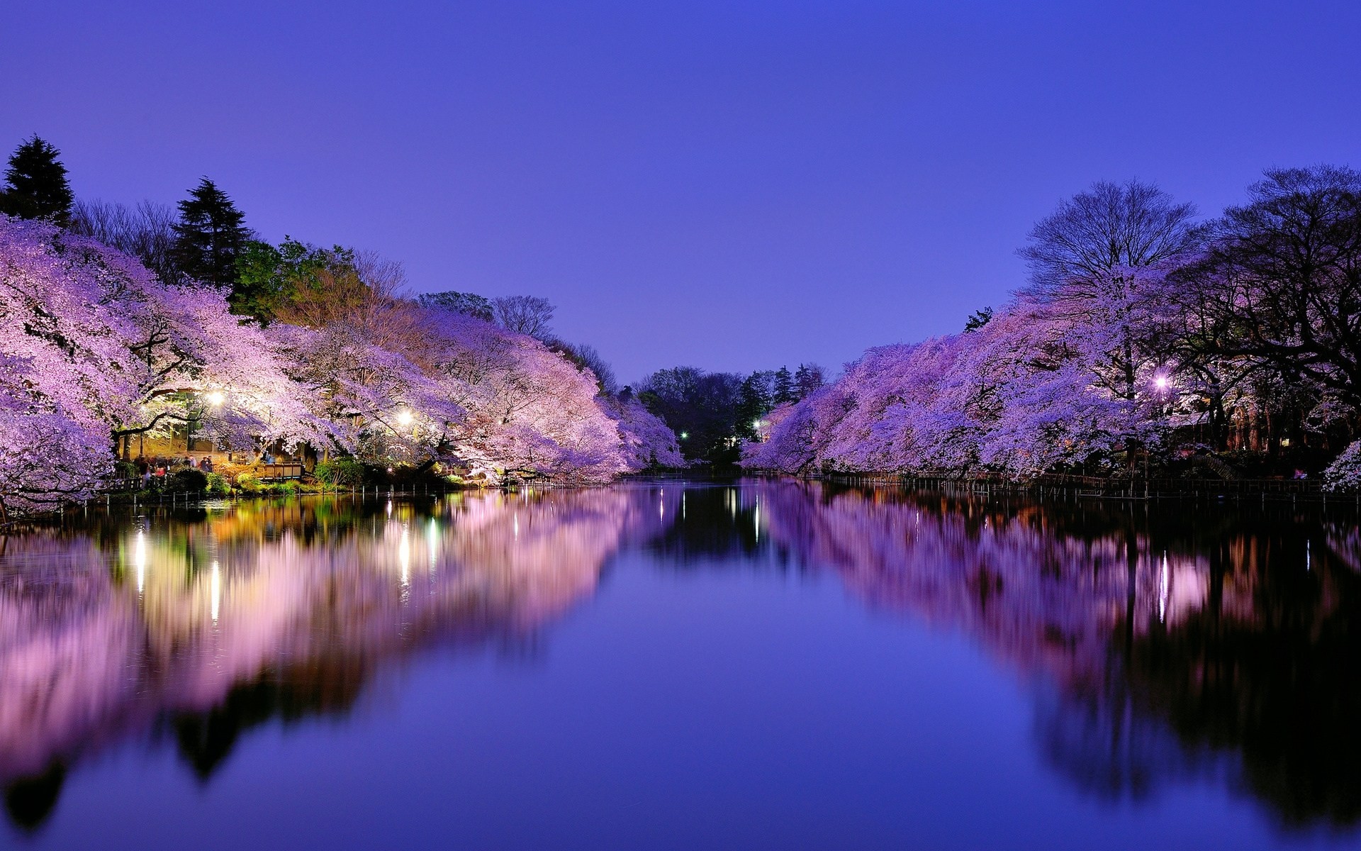 lago tokio ciudad luces parque osaka iluminación