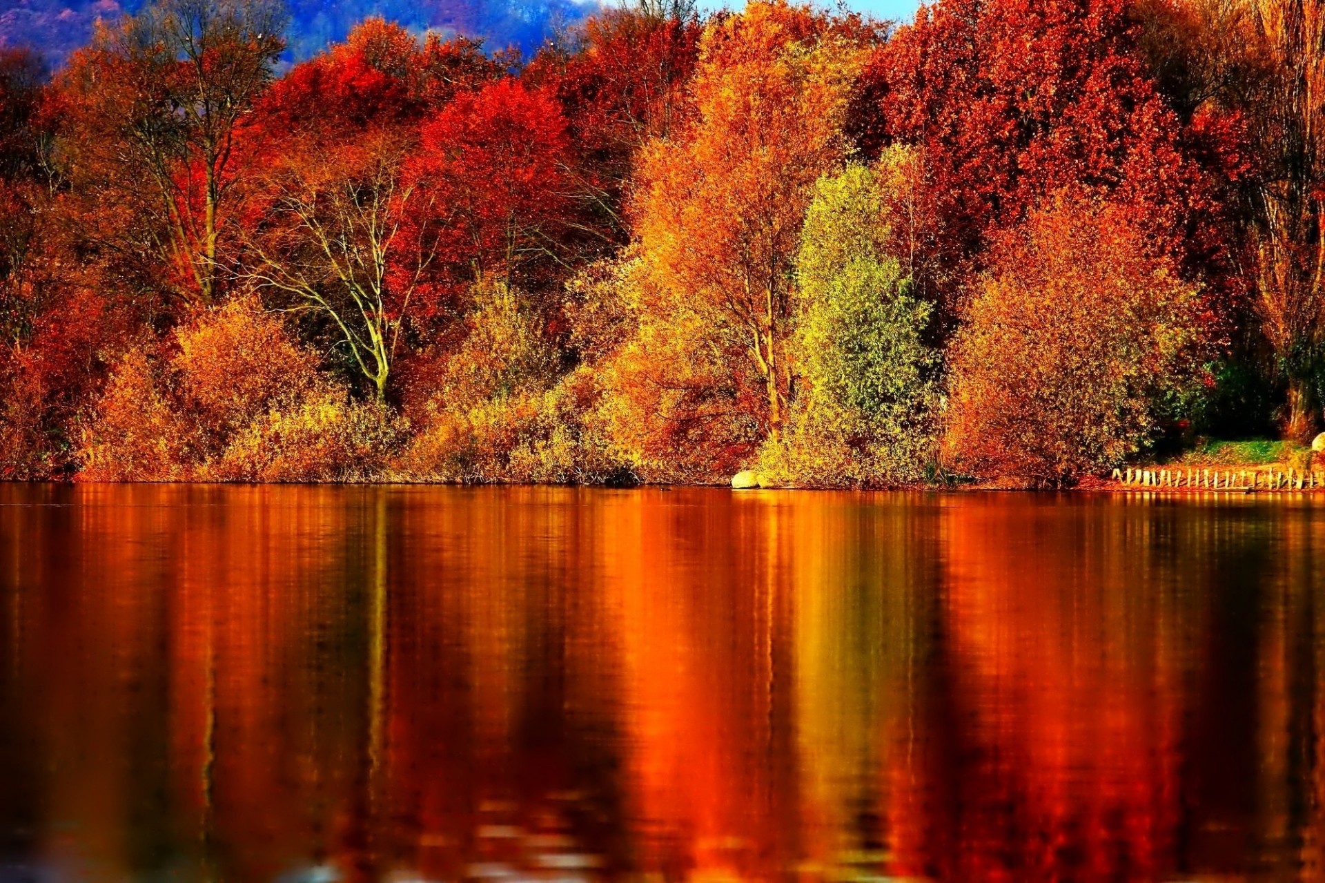 otoño reflexión árboles carmesí río