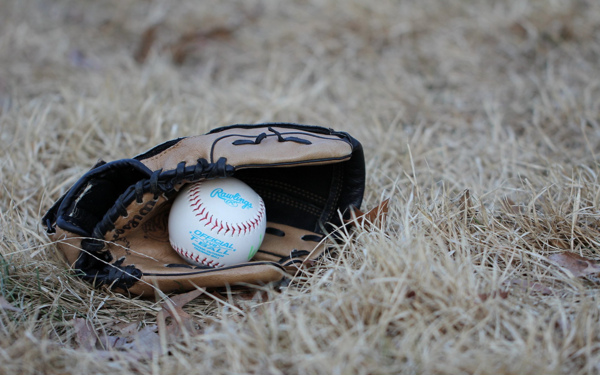 béisbol pelota guante deporte