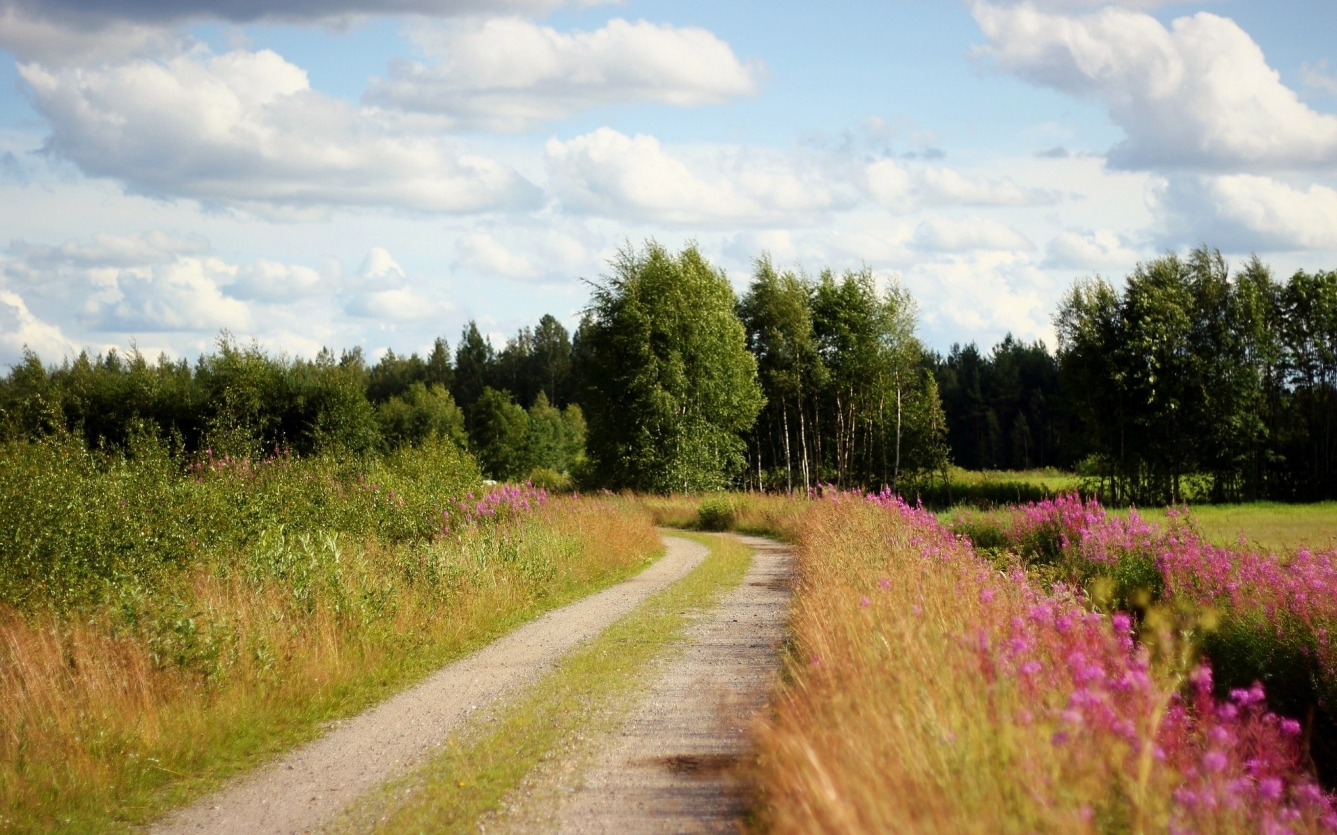 himmel bäume schmutz blumen straßenrand wolken straße