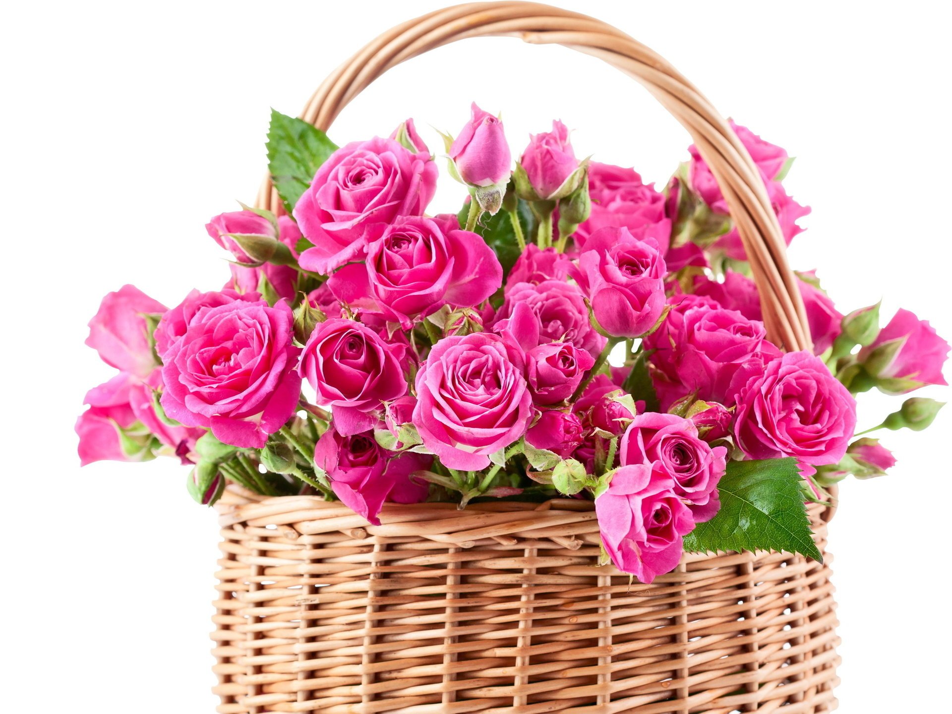 roses flowers basket basket bouquet beautiful pink