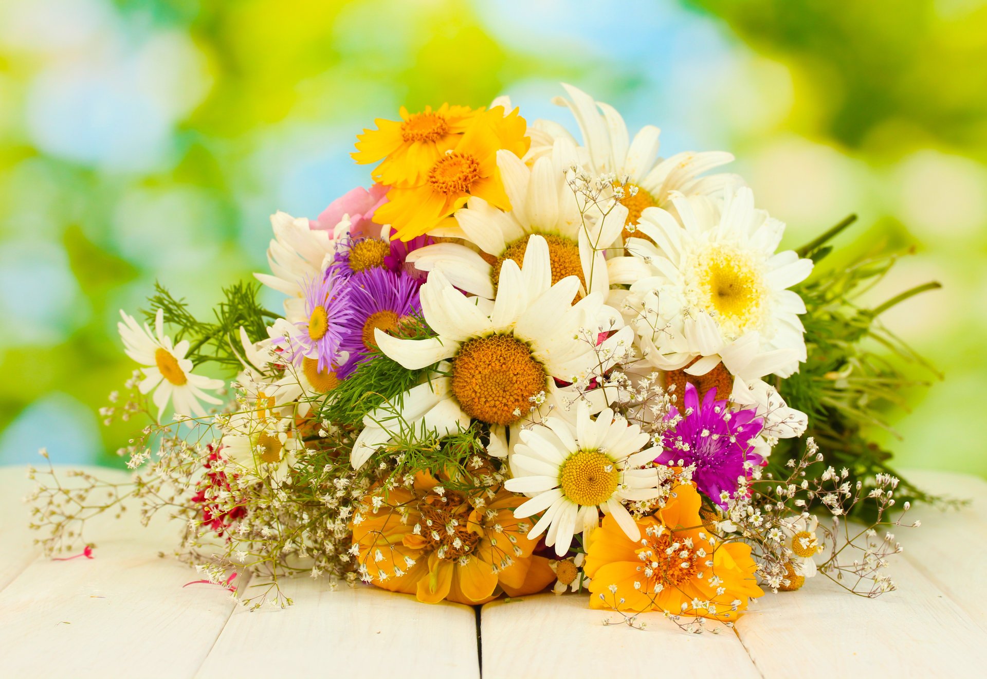 bouquet gerbera camomille