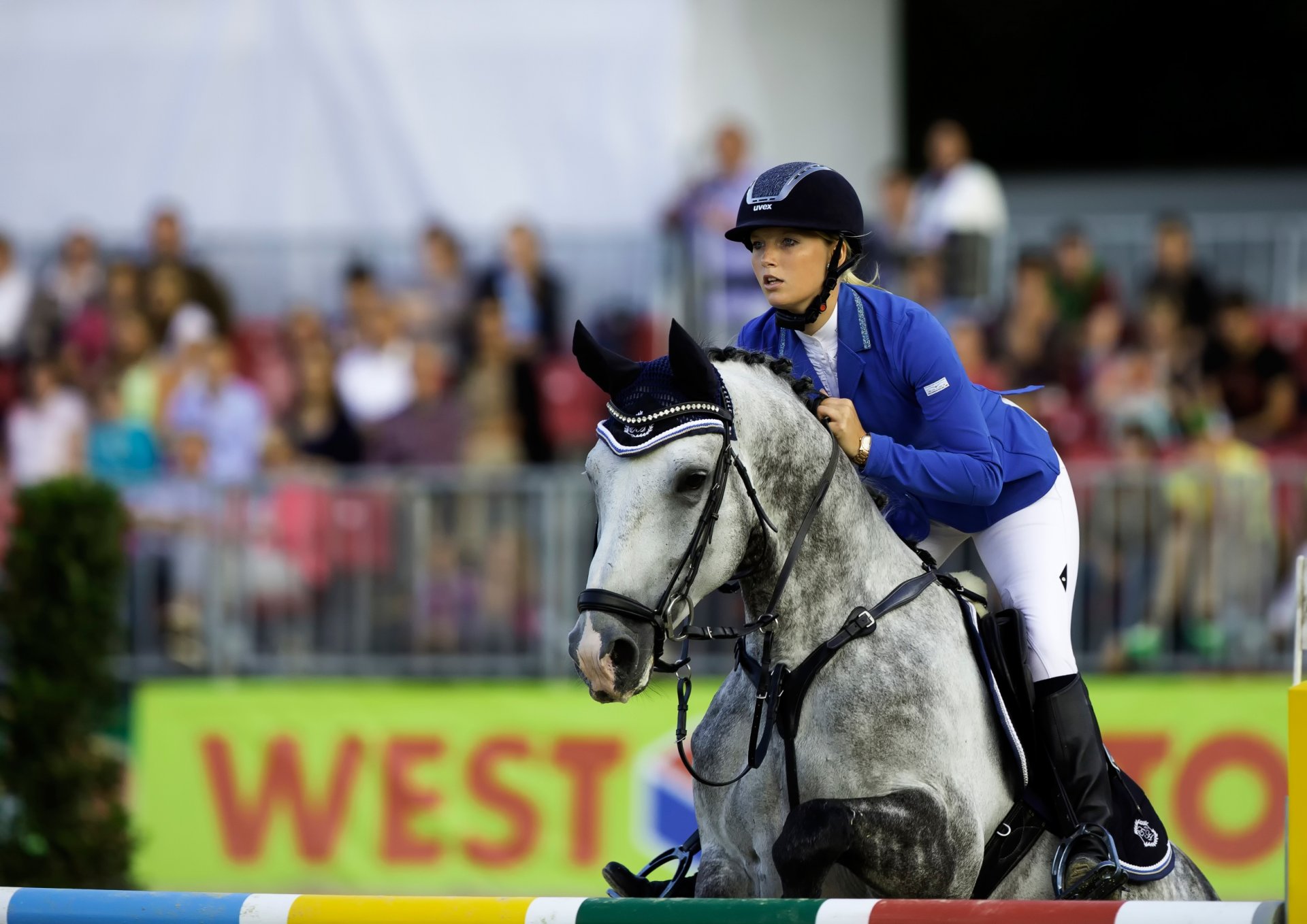 sports équestres saut d obstacles athlète athlète