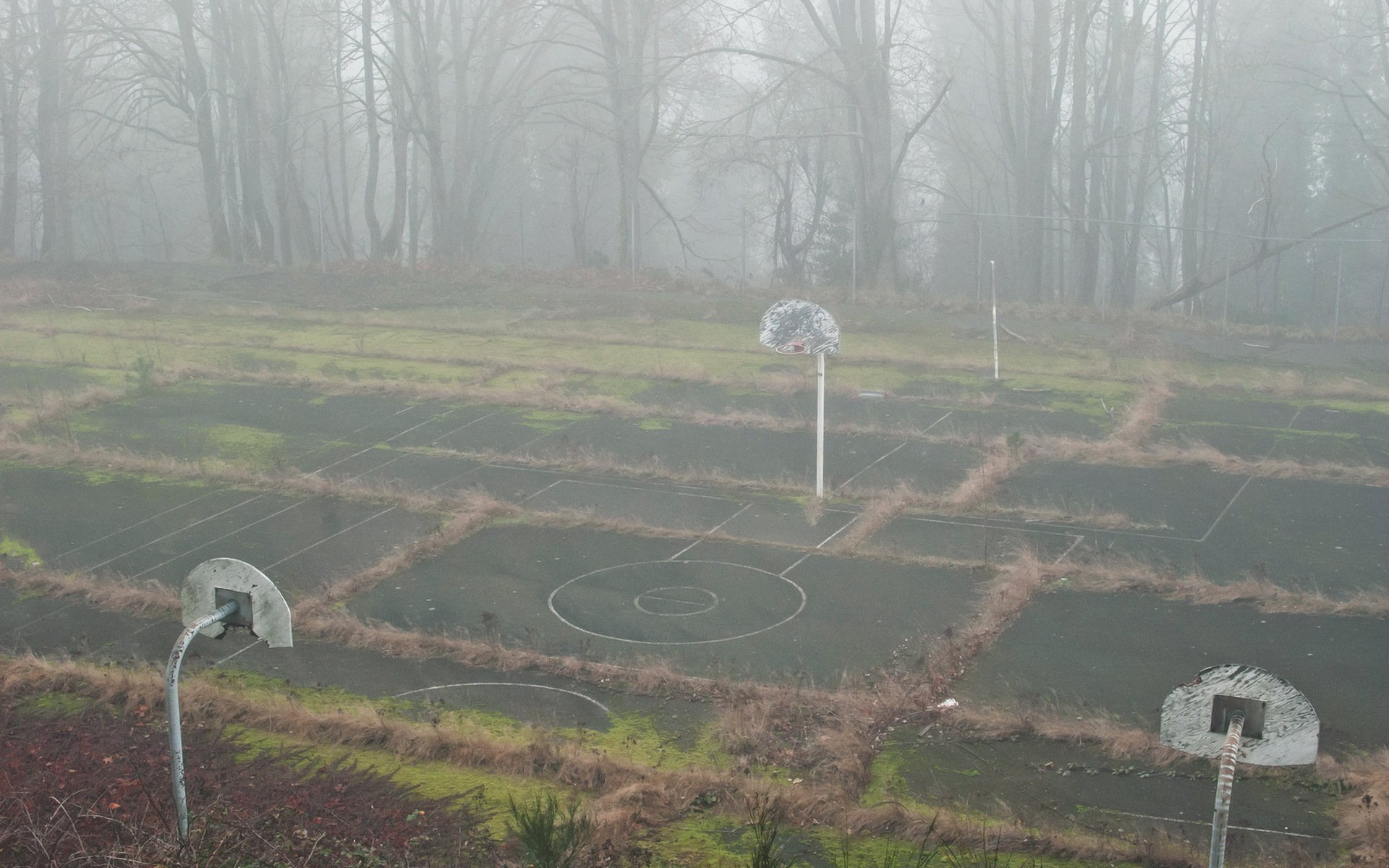 parco giochi nebbia sport