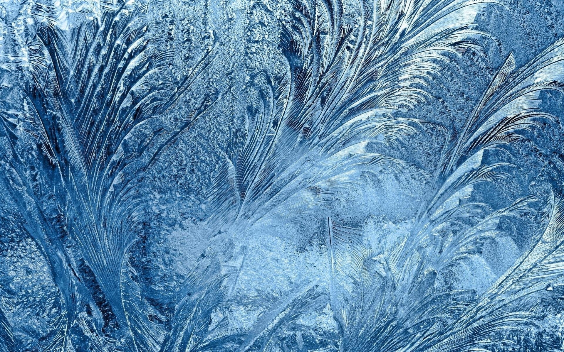 frost patterns snow close up winter