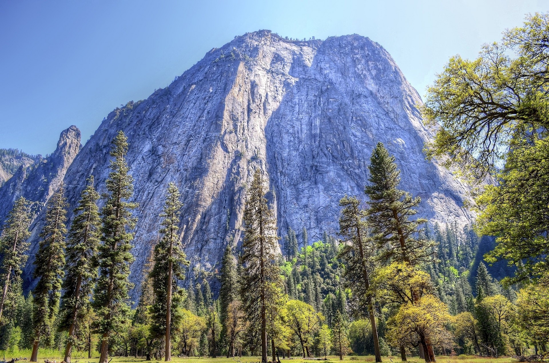 estados unidos parque nacional de yosemite