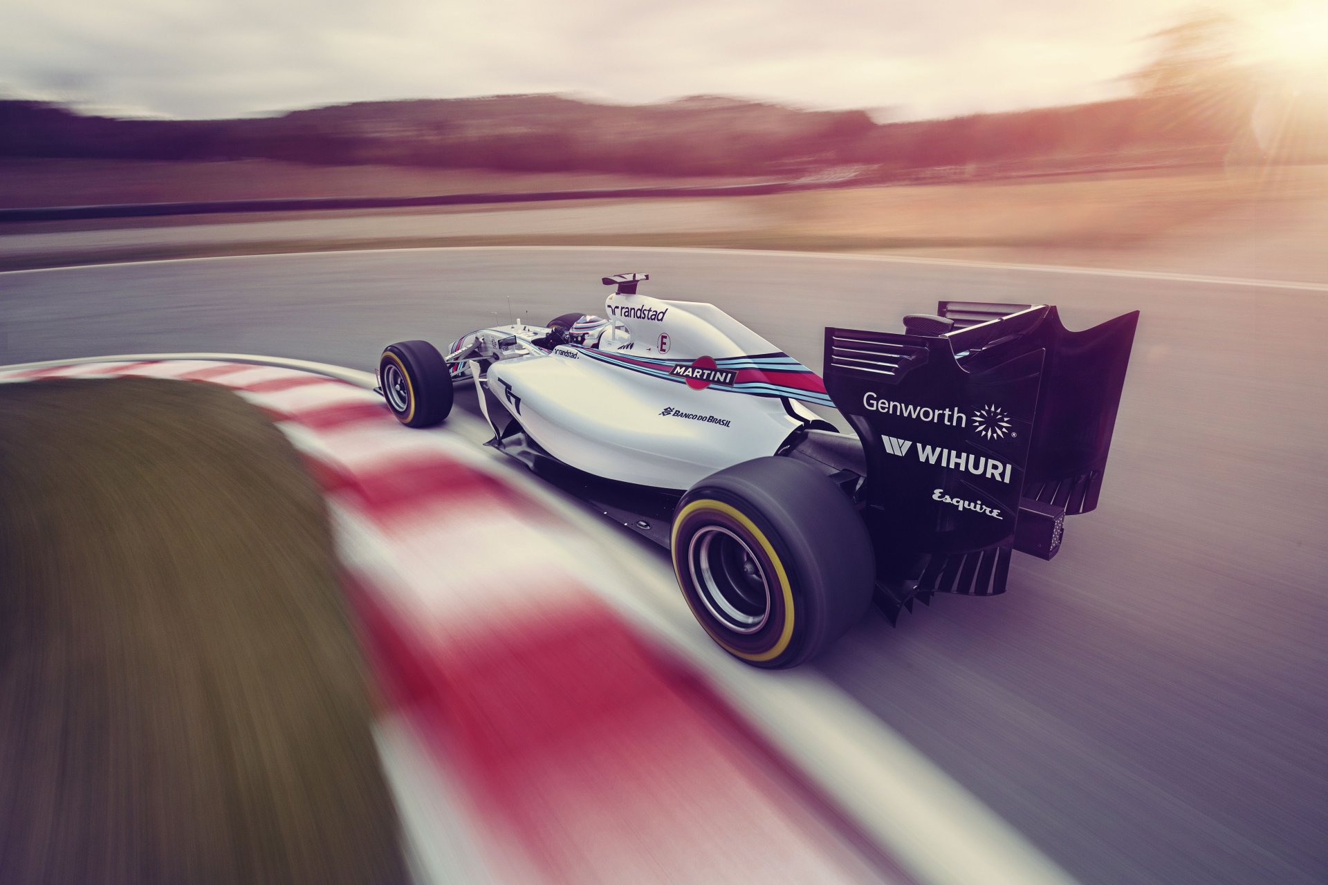 williams f1 team fw36 мартини боттас формула