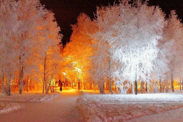 Winter Park in the evening