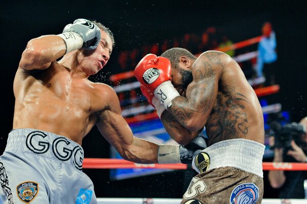 La lotta di Curtis Stevens e Gennady Golovkin