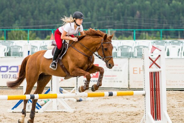 Спортсменка девушка на коне через преграды