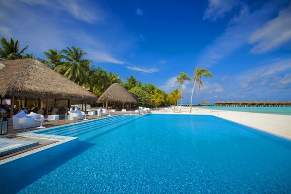 Palm trees and pool houses