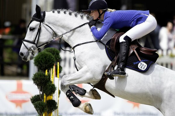 Chica vaquera en un caballo blanco