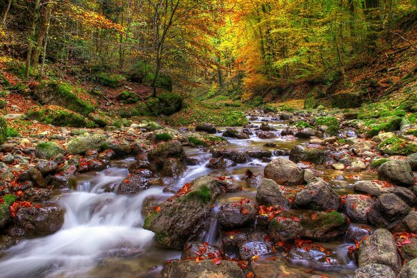 Il fiume di montagna in autunno ha brillato di nuovi colori