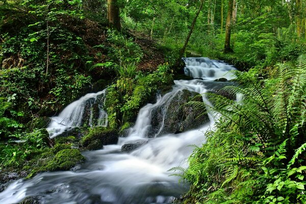 Wasserfall im Laubwald in den Bergen