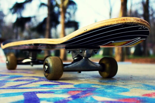 Skateboard in the macro park