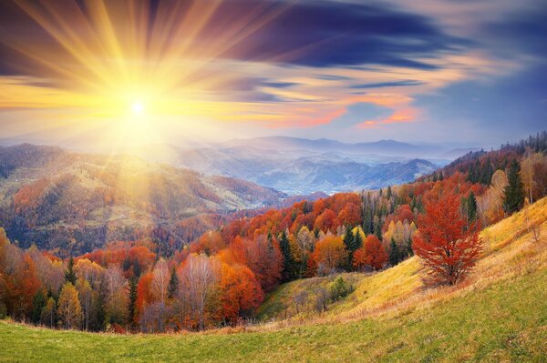 Le soleil illumine les collines et la cime des arbres avec un conseil chaud, le ciel devient plus sombre