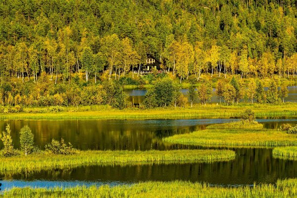 Paesaggio del fiume nel nord della Norvegia