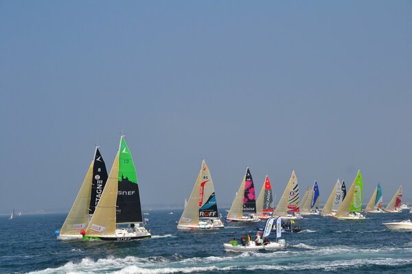 Carrera de veleros de colores en el mar