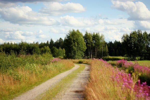 Der Weg in den Wald. Wolken am Himmel