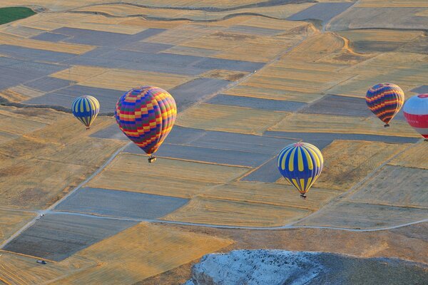 Ballons sur fond de beau champ