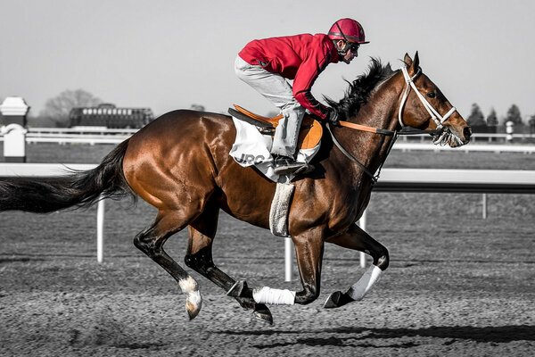 Hombre Jockey montando a caballo