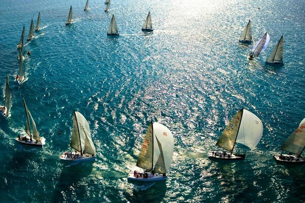 Incroyablement belle mer bleue et beaucoup de yachts avec des voiles blanches