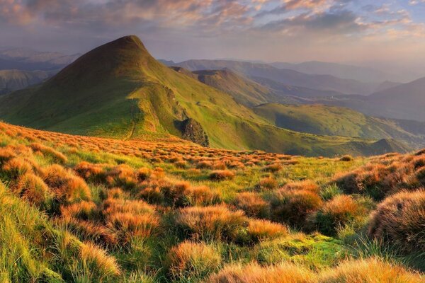 Mountain landscape with green grass