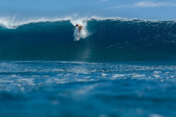 Surfer caught an ocean wave