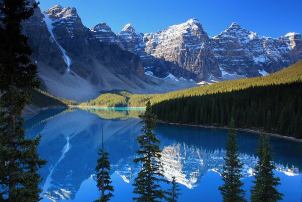 Lago boscoso tra le montagne rocciose